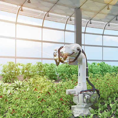 艾綠集團(tuán) 引領(lǐng)花卉產(chǎn)業(yè)創(chuàng)新與綠色發(fā)展的領(lǐng)軍者