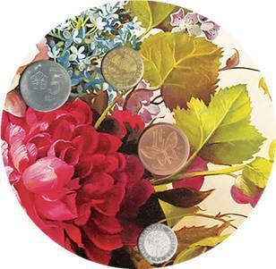 2018鑫產(chǎn)品 富貴花開，財(cái)源滾滾的水果盛宴