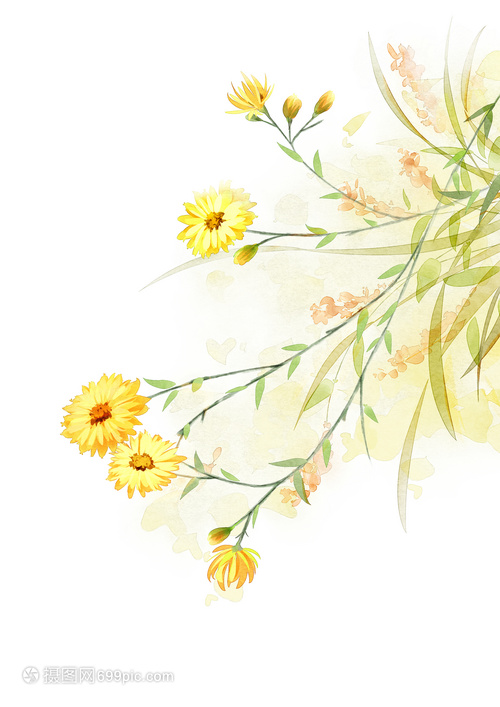 雛菊水彩與水果 清新藝術(shù)中的自然交融